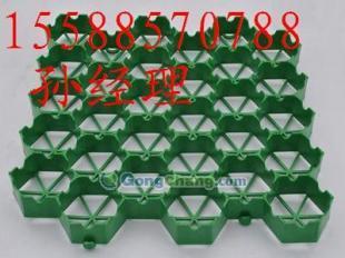 张家口植草格与塑料植草格厂家直销指南 38-70规格建筑建材选型参考